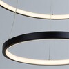 Миниатюра фото подвесной светодиодный светильник arte lamp frodo a2197sp-2bk | 220svet.ru
