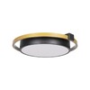 Миниатюра фото потолочный светодиодный светильник loft it mike 10169 | 220svet.ru