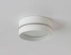 Миниатюра фото потолочный светильник ambrella light techno spot ip protect tn5391 | 220svet.ru