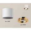 Миниатюра фото комплект накладного светильника ambrella light techno spot xs7401004 swh/pyg белый песок/золото желтое полированное (c7401, n7004) | 220svet.ru