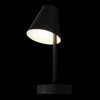 Миниатюра фото бра loft it shelf 10216/1w black | 220svet.ru