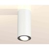 Миниатюра фото комплект накладного светильника ambrella light xs7442003 swh/psl белый песок/серебро полированное (c7442, n7003) | 220svet.ru