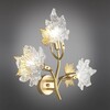 Миниатюра фото бра omnilux vitereta oml-52701-03 | 220svet.ru
