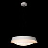 Миниатюра фото подвесная люстра loft it petale 10256p white | 220svet.ru