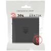Миниатюра фото розетка эра arktik 16-3107-05 информационная rj45 антрацит б0070478 | 220svet.ru
