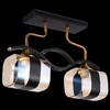 Миниатюра фото потолочный светильник reluce 72106-0.3-02 bk+gab | 220svet.ru