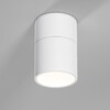 Миниатюра фото потолочный светильник elektrostandard 25112/led a067487 | 220svet.ru