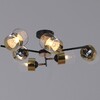 Миниатюра фото потолочная люстра reluce 11555-0.3-06 bk+fgd | 220svet.ru