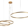 Миниатюра фото подвесной светодиодный светильник loft it ring 10017/3m | 220svet.ru