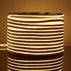 Миниатюра фото гибкий неон elektrostandard 9,6w/m 120led/m 2835smd теплый белый 50m a052995 | 220svet.ru