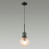 Миниатюра фото подвесной светильник odeon light greeni 5026/1 | 220svet.ru