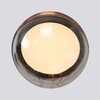 Миниатюра фото подвесной светодиодный светильник favourite luna 4371-1p | 220svet.ru