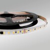 Миниатюра фото светодиодная лента favourite 10w/m 400led/m 2835smd дневной белый 5m 2003-41020 | 220svet.ru