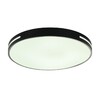Миниатюра фото потолочный светодиодный светильник myfar ceiling oberon mr9100-cl | 220svet.ru