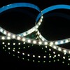Миниатюра фото светодиодная лента elektrostandard 4,8w/m 60led/m 2835smd холодный белый 5m a049837 | 220svet.ru