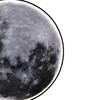 Миниатюра фото настенно поолочный светодиодный светильник escada planet 605/s led moon | 220svet.ru