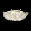 Миниатюра фото потолочный светильник loft it clizia 10594/780c white | 220svet.ru