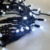Миниатюра фото гирлянда нить 10м белая 220в 100 led провод черный каучук 2,3мм ip65 ltc eco100-1-2w | 220svet.ru