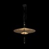 Миниатюра фото подвесной светильник loft it 10244/a black | 220svet.ru