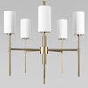 Миниатюра фото подвесная люстра loft it comfy 10307 brass | 220svet.ru