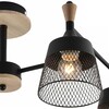 Миниатюра фото потолочная люстра на штанге reluce 01492-0.3-04 bk+wood | 220svet.ru