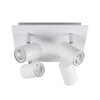Миниатюра фото спот kanlux evalo el-4o w-sr 35696 | 220svet.ru
