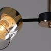 Миниатюра фото потолочная люстра reluce 11555-0.3-04 bk+fgd | 220svet.ru