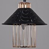 Миниатюра фото подвесная люстра reluce 02501-0.9-03 bk+gd | 220svet.ru