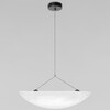 Миниатюра фото подвесной светодиодный светильник loft it tense 10347/l | 220svet.ru