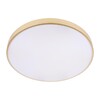 Миниатюра фото потолочный светодиодный светильник loft it flims 10228/b | 220svet.ru