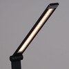 Миниатюра фото настольная лампа reluce 02088-0.7-01t bk (usb) | 220svet.ru