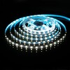 Миниатюра фото светодиодная лента elektrostandard 4,8w/m 60led/m 2835smd холодный белый 5m a049837 | 220svet.ru