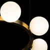 Миниатюра фото подвесная люстра loft it hoop 10311/14 | 220svet.ru