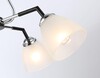 Миниатюра фото потолочная люстра ambrella light traditional modern tr303293 | 220svet.ru