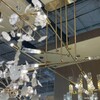 Миниатюра фото подвесная люстра crystal lux dia pl10 | 220svet.ru