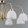 Миниатюра фото потолочная люстра illumico il0789-8csq-25 ab arezzo | 220svet.ru