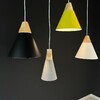 Миниатюра фото подвесной светильник imperium loft xd-b 178213-26 | 220svet.ru