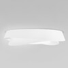 Миниатюра фото потолочный светодиодный светильник loft it 10256 white | 220svet.ru