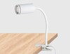 Миниатюра фото настольная лампа ambrella light wallers fw2467 | 220svet.ru