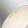 Миниатюра фото накладной светильник wertmark wta.o02.007.v0.12 | 220svet.ru