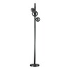 Миниатюра фото торшер indigo canto 11026/4f black v000244 | 220svet.ru