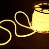 Миниатюра фото гибкий неон elektrostandard 9,6w/m 144led/m 2835smd теплый белый 50m a052998 | 220svet.ru