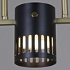 Миниатюра фото потолочная люстра на штанге reluce 06675-0.3-05 gd+bk gx53 | 220svet.ru