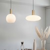 Миниатюра фото подвесной светильник imperium loft ferm living 73517-22 | 220svet.ru